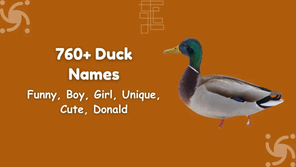 Duck Names