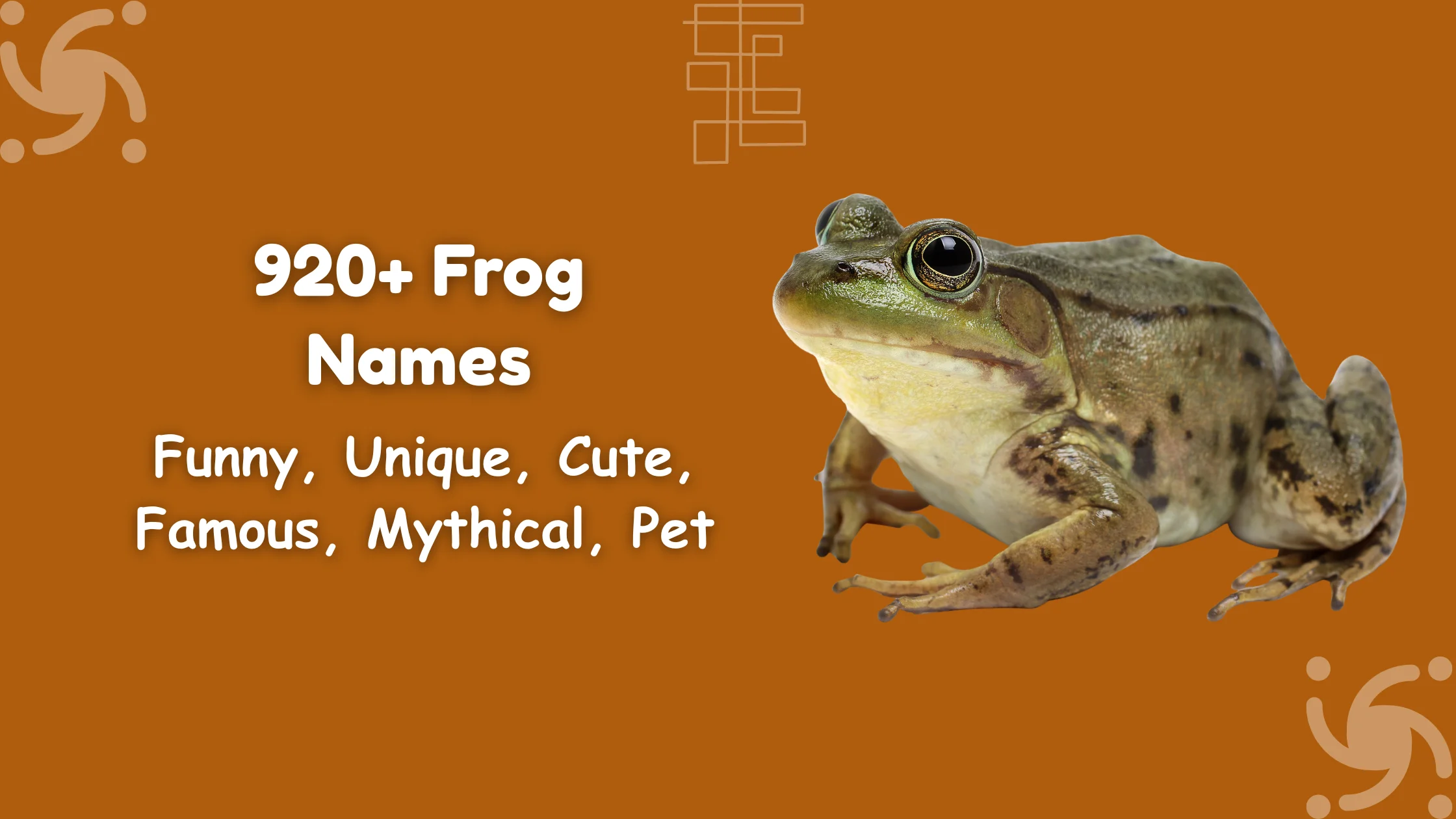 Frog Names