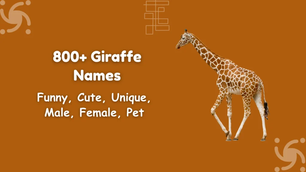 Giraffe Names