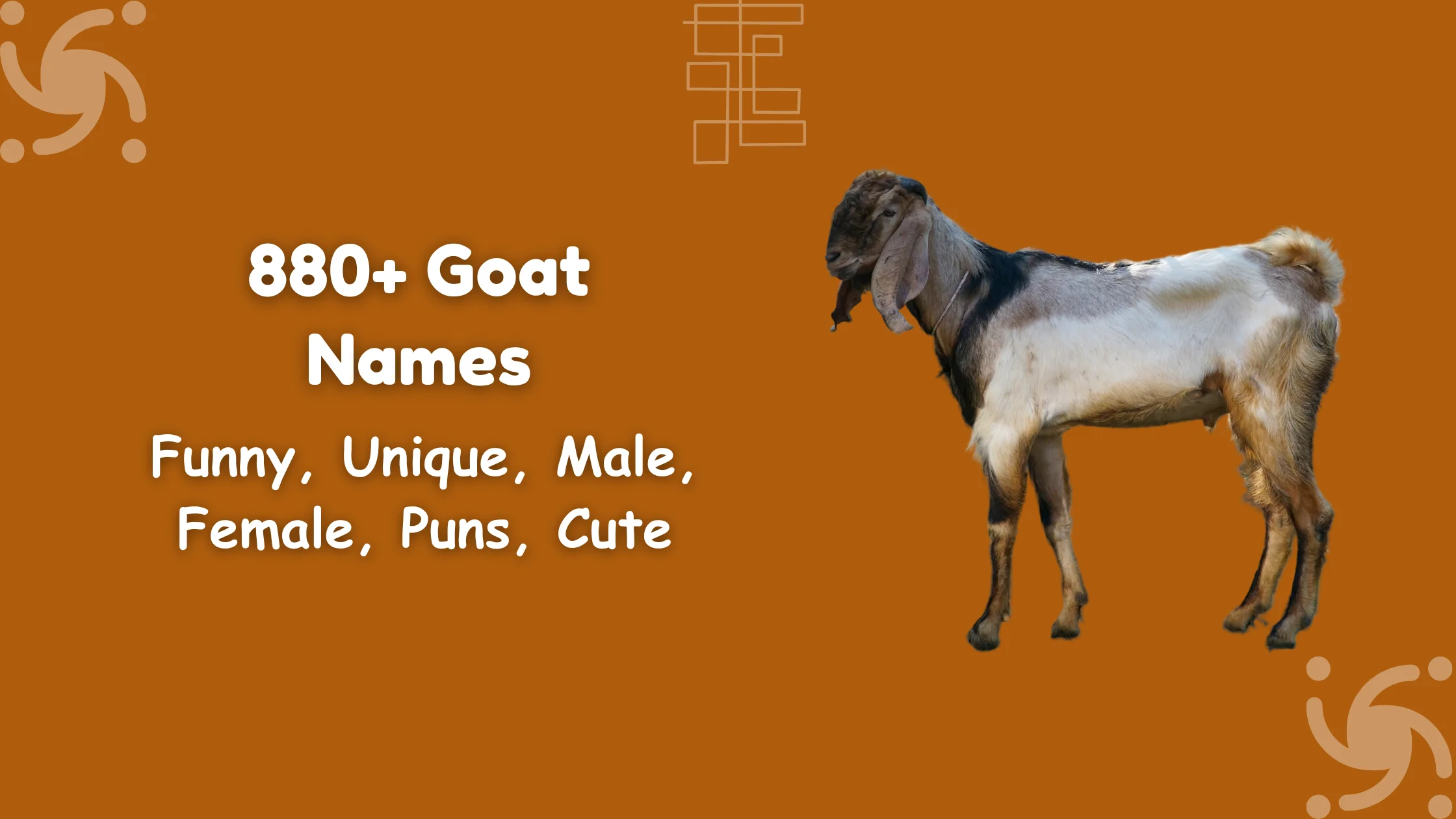 Goat Names