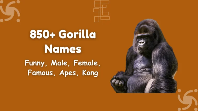Gorilla Names