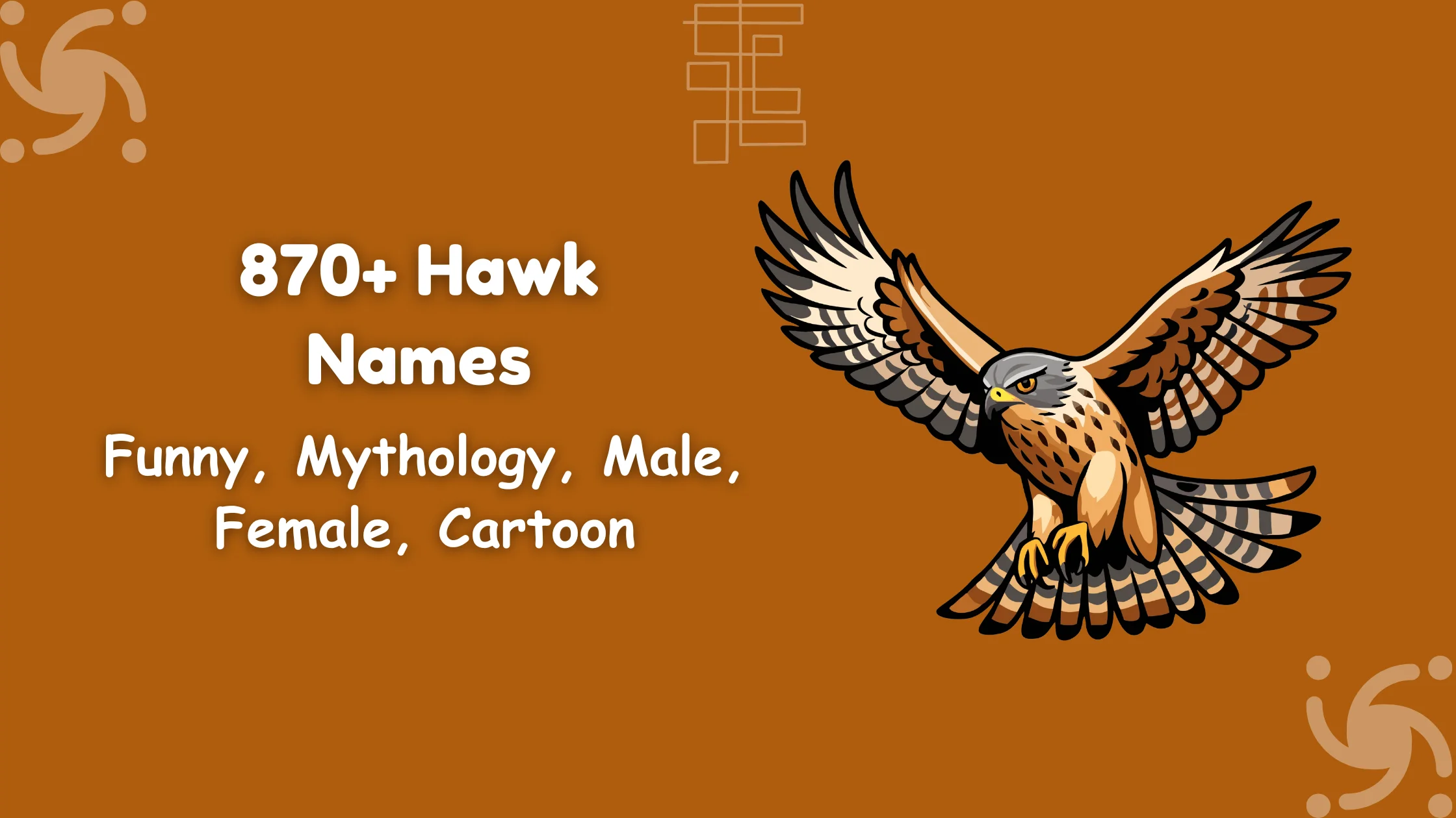 Hawk Names