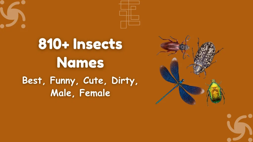 Insects Names