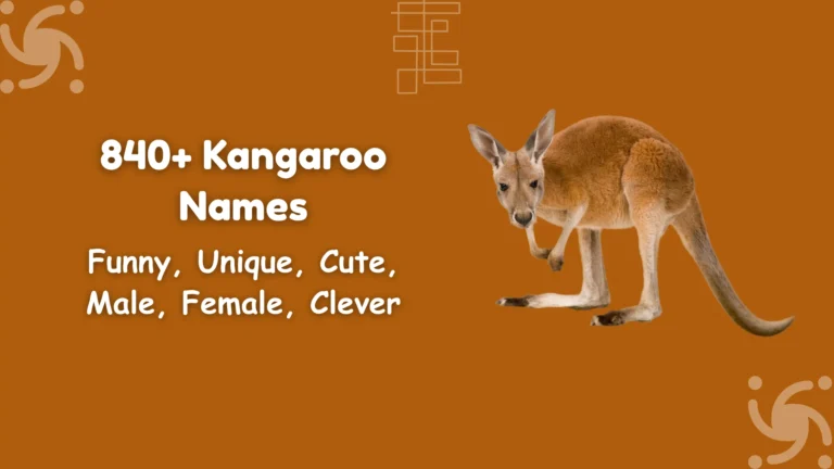 Kangaroo Names