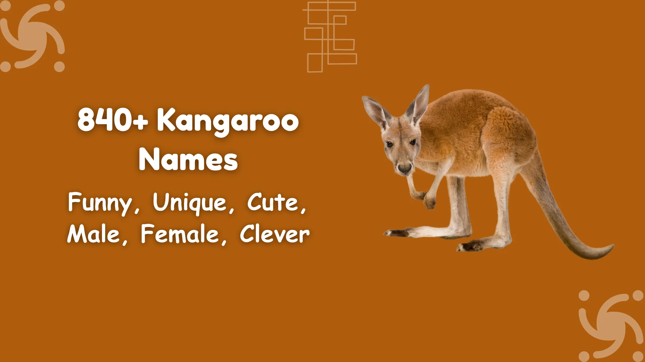Kangaroo Names