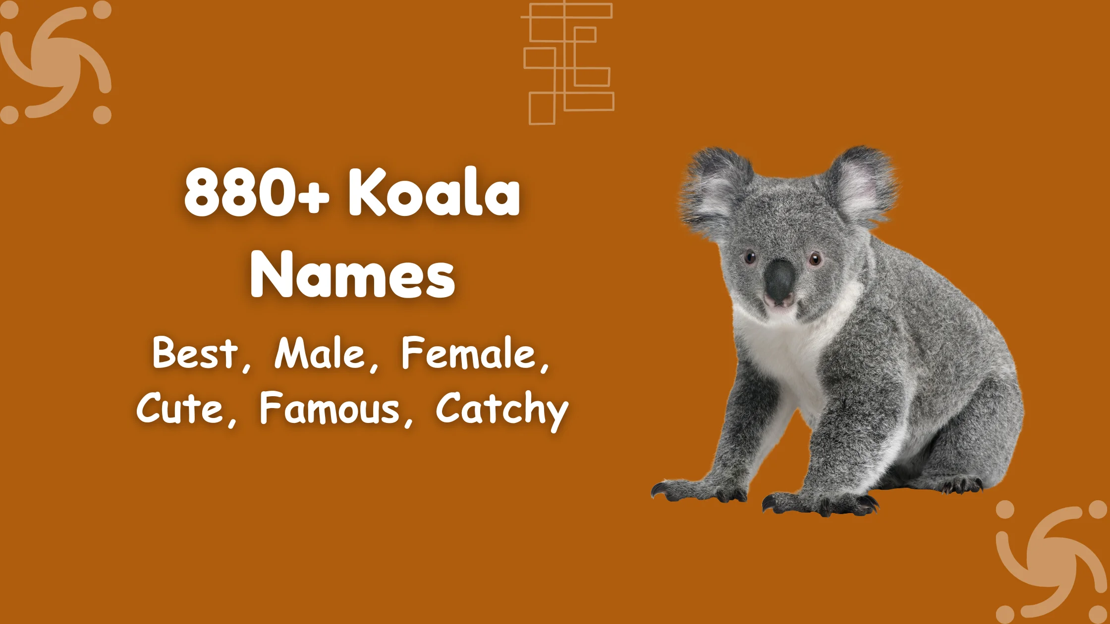 Koala Names