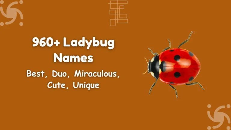 Ladybug Names