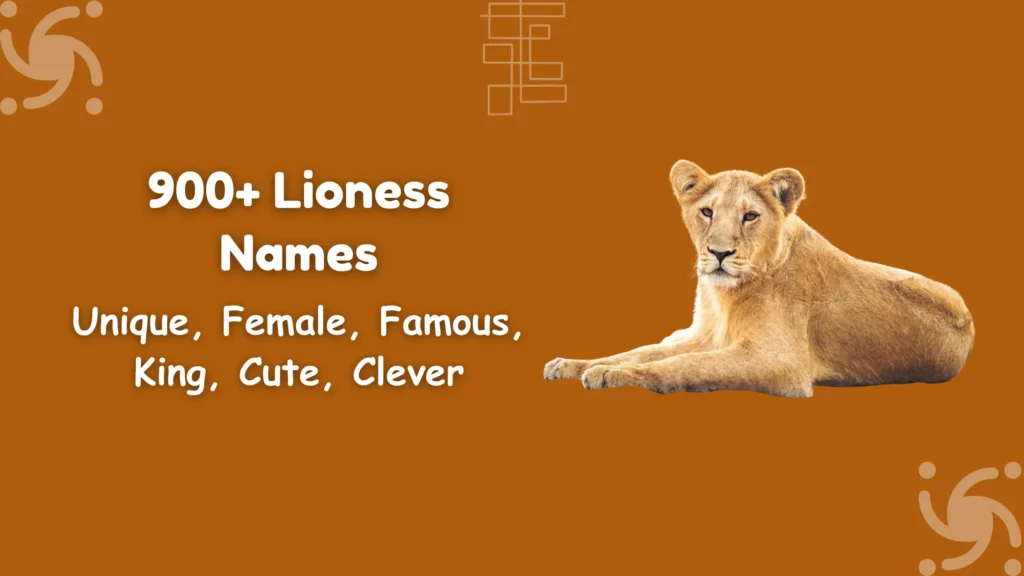 Lioness Names