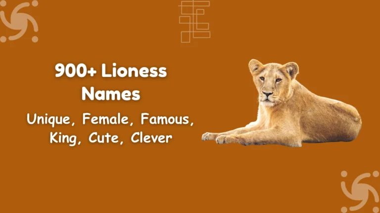 Lioness Names