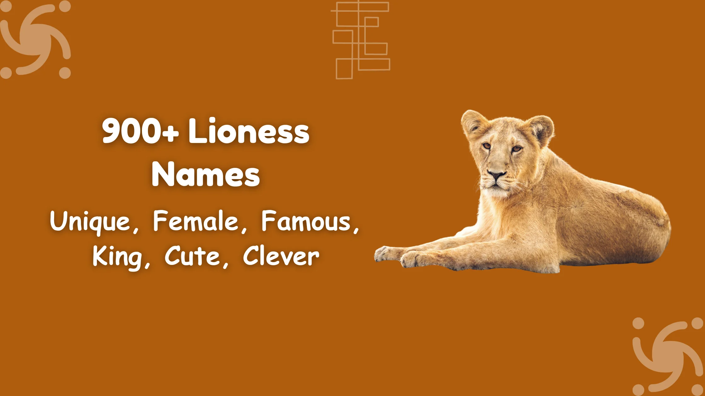 Lioness Names