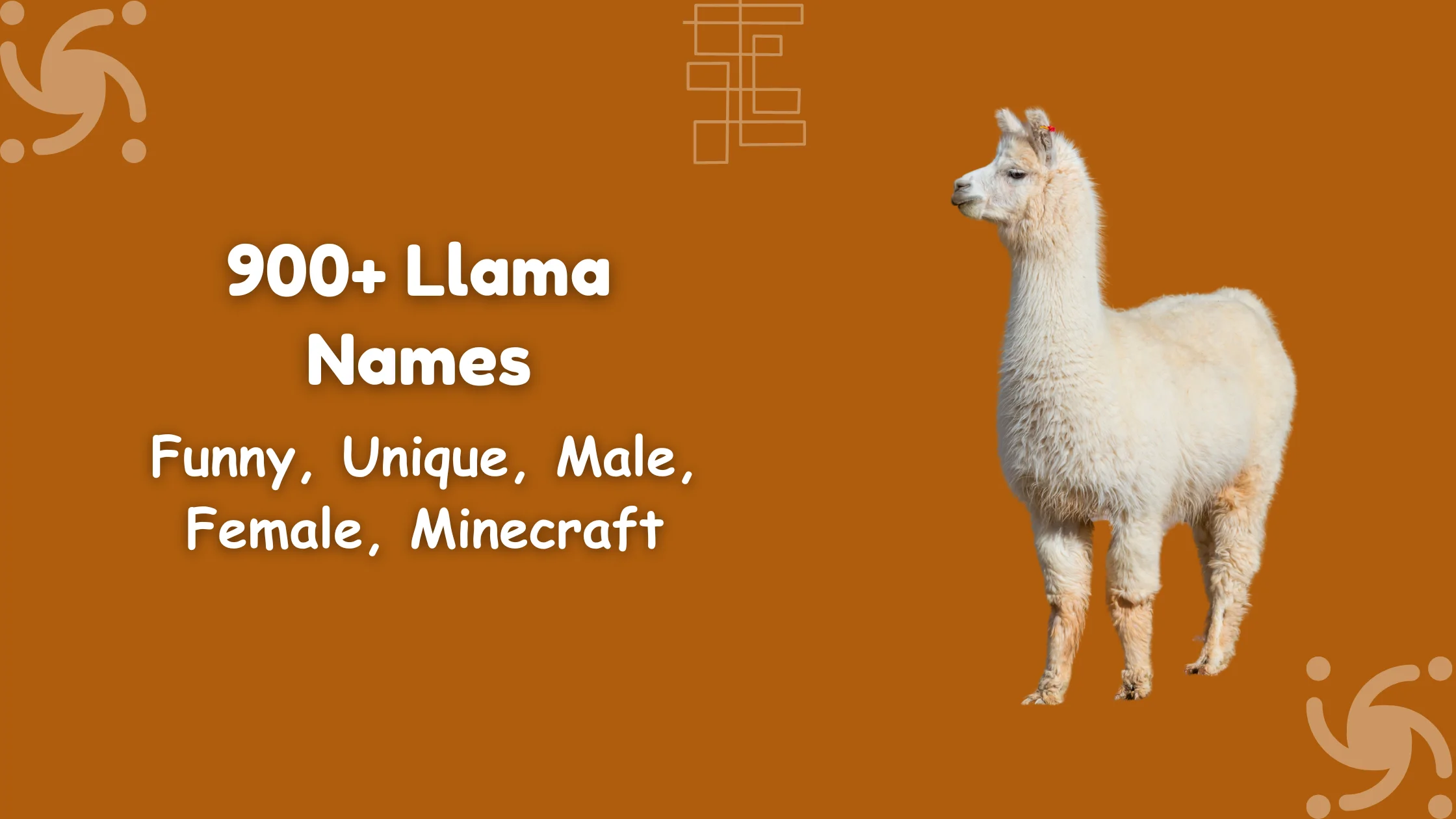Llama Names