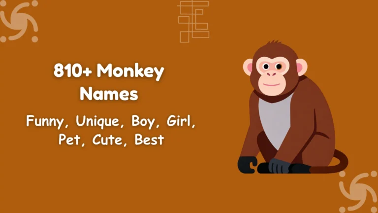 Monkey Names