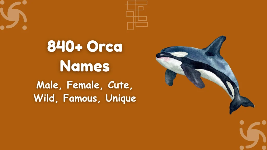 Orca Names