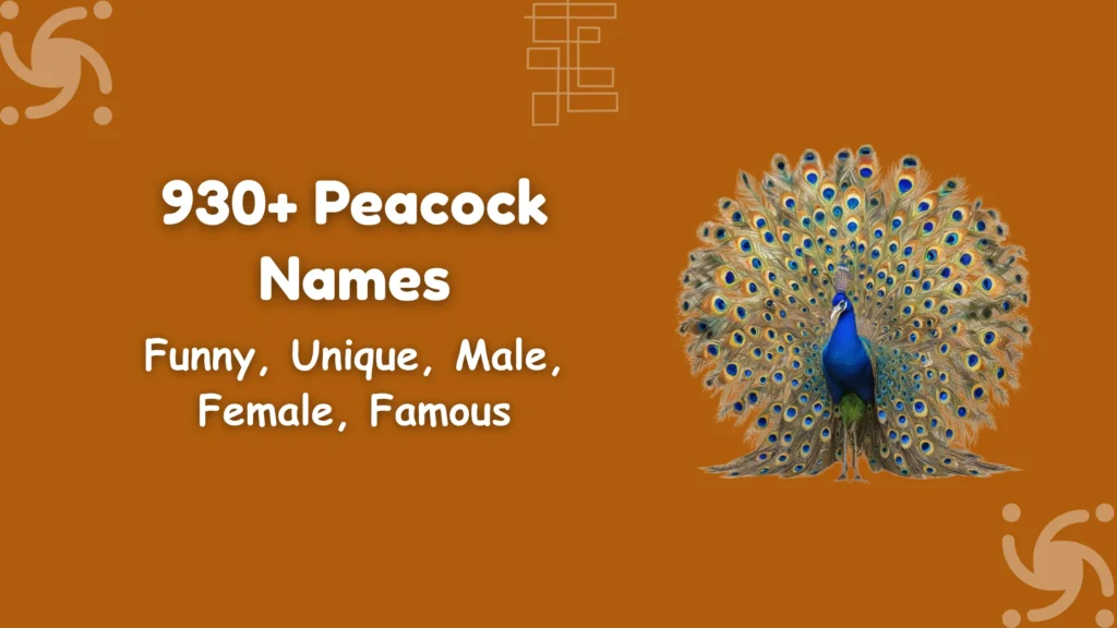 Peacock Names