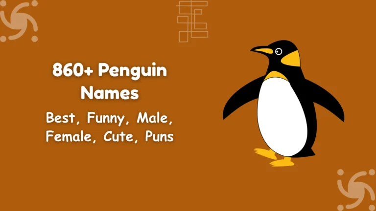Penguin Names
