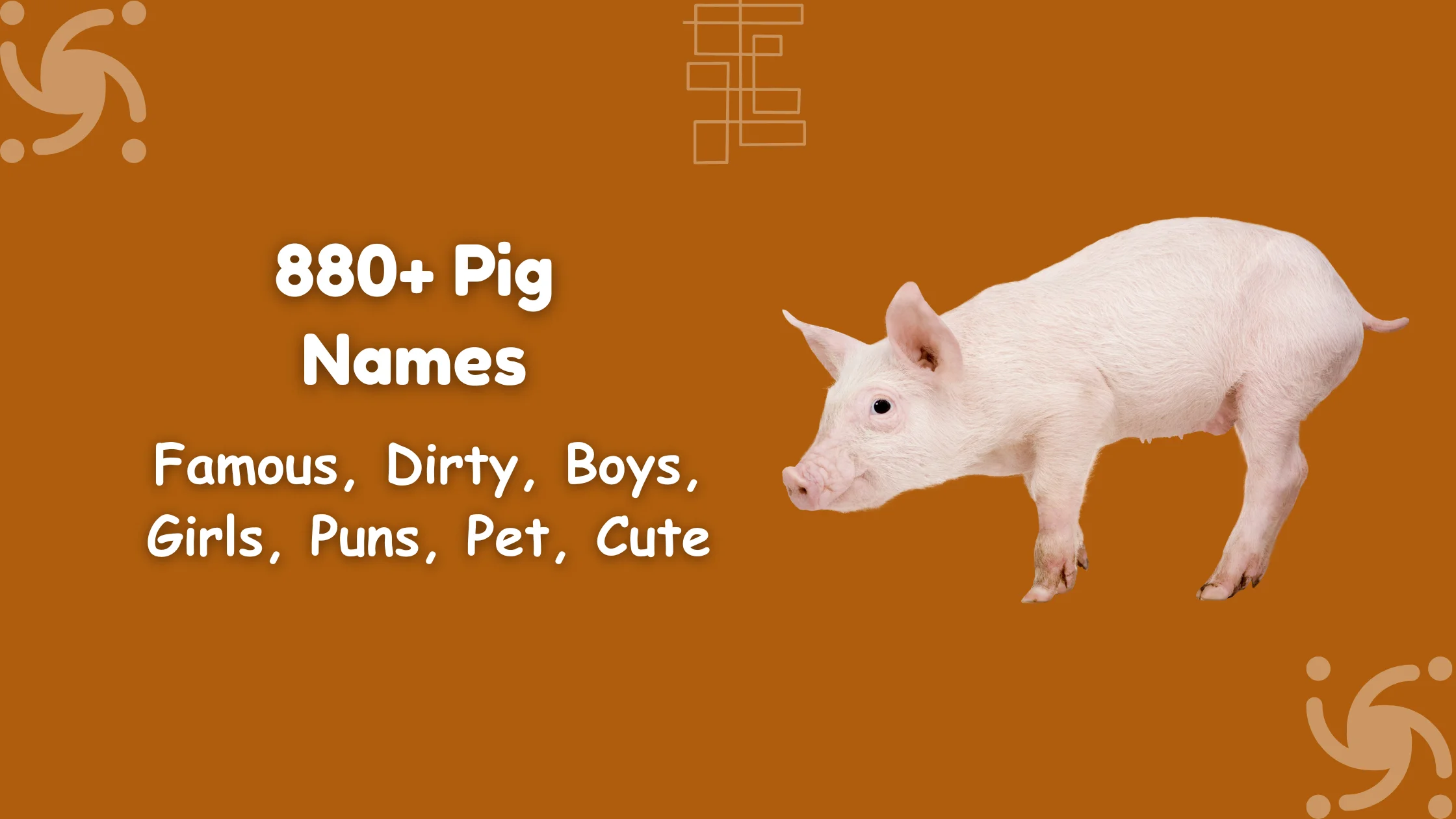 Pig Names