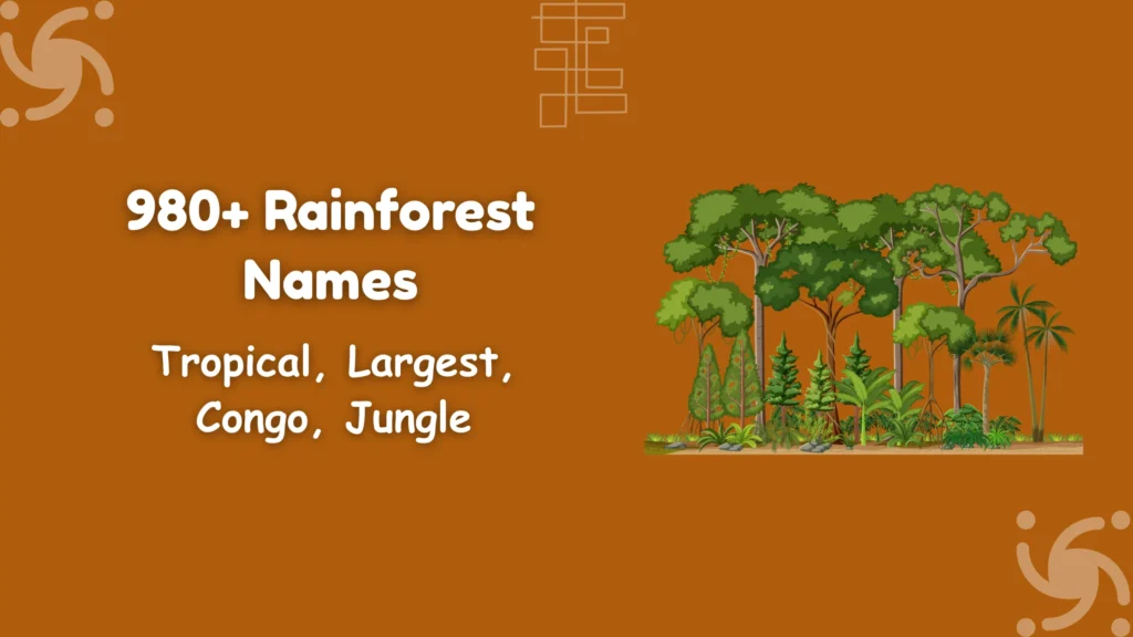 Rainforest Names
