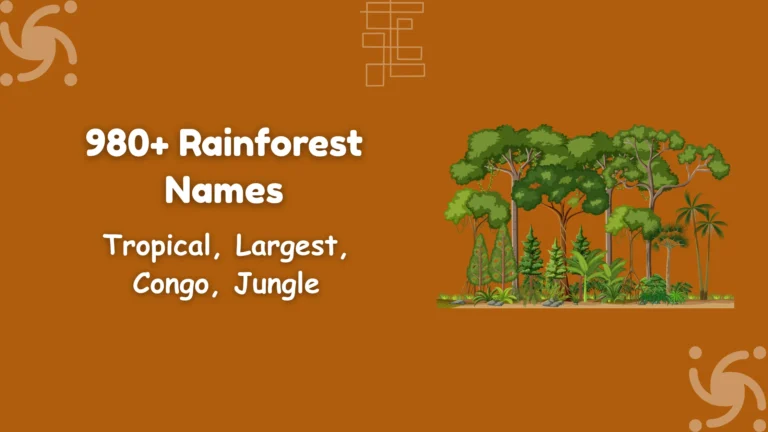 Rainforest Names