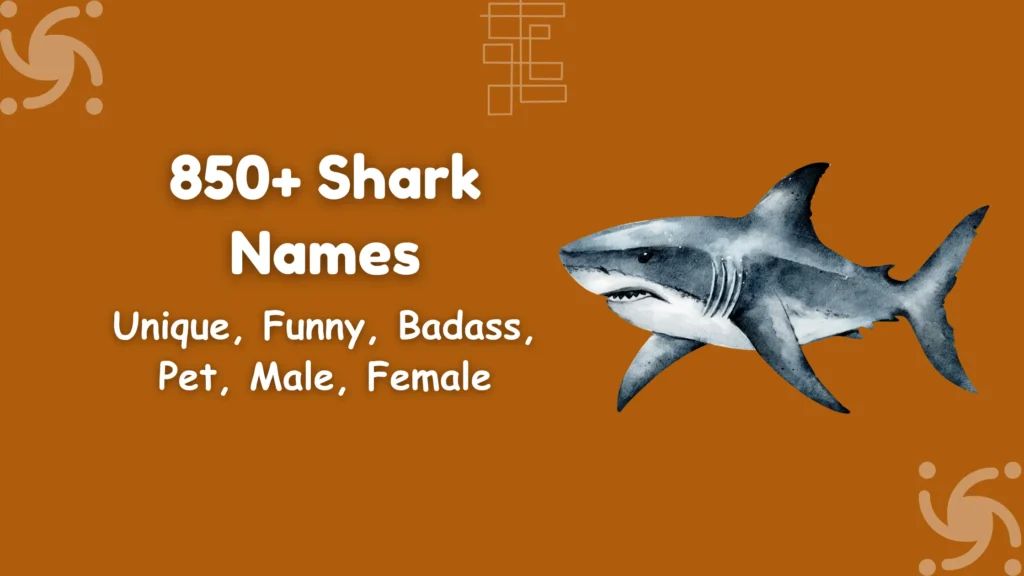 Shark Names