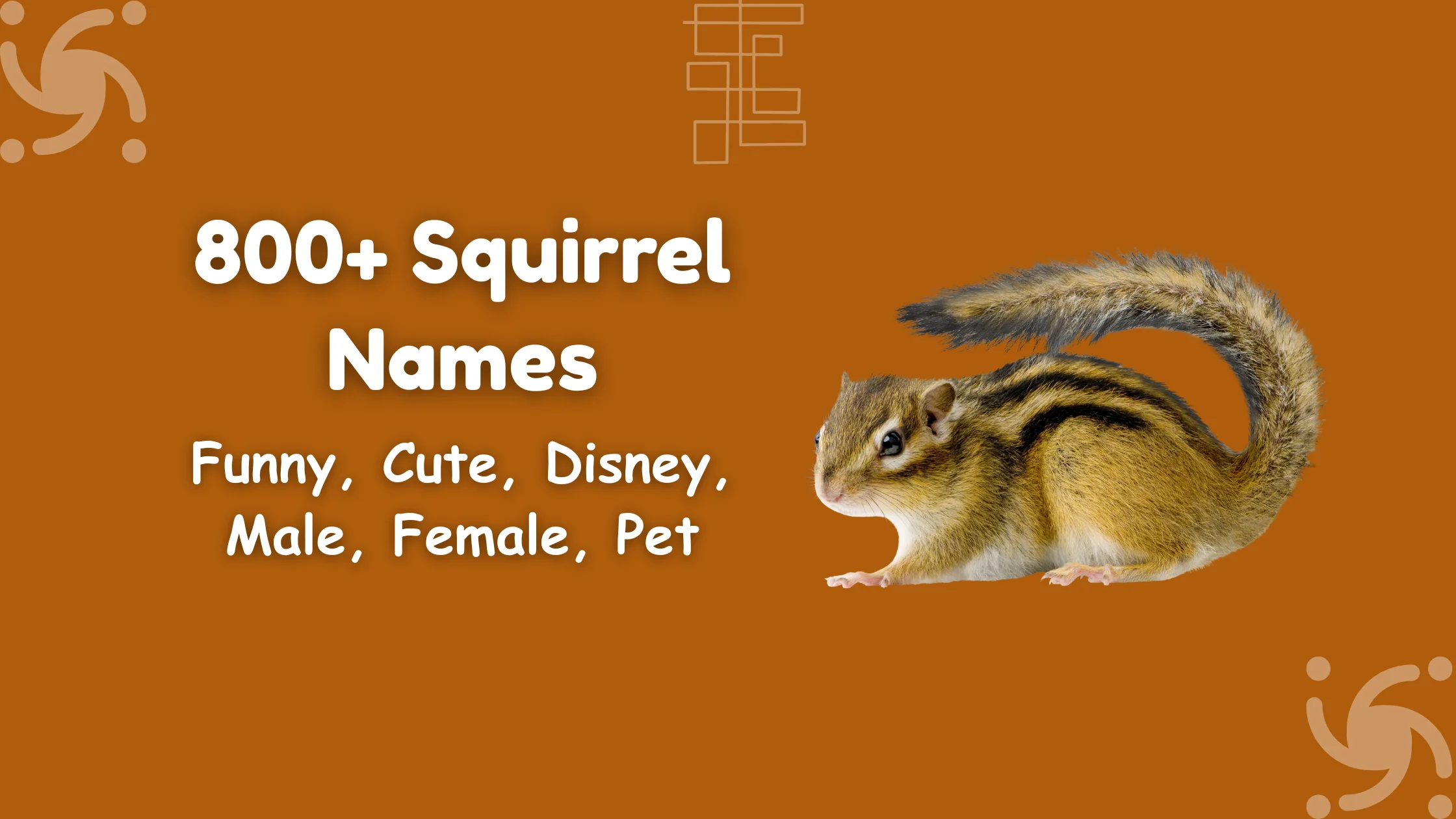 Squirrel Names