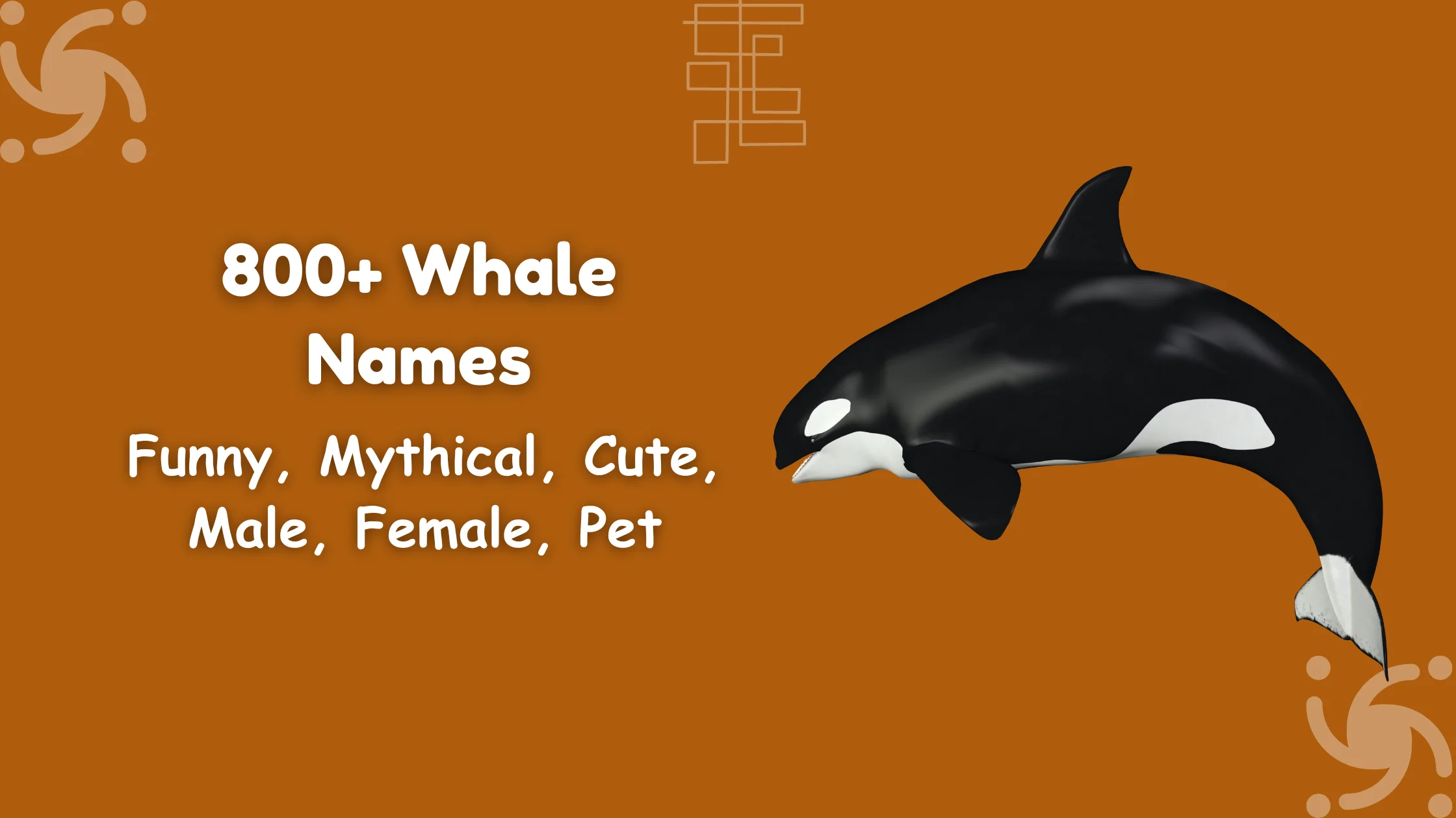 Whale Names